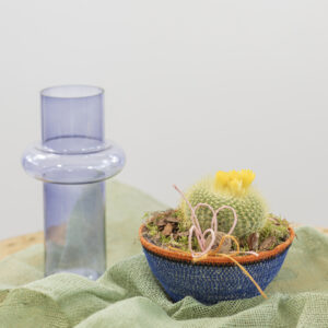 Mammilaria Fioreria Pinciroli Busto Arsizio consegna a domicilio